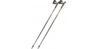 Kijki do Nordic Walking